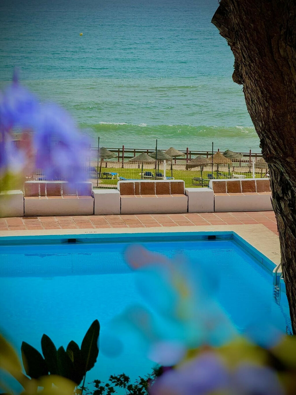 Middle Floor Apartment Calahonda Málaga - image 12