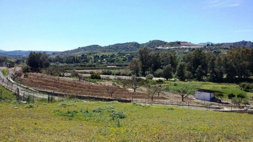 Farm Coín Málaga - image 12