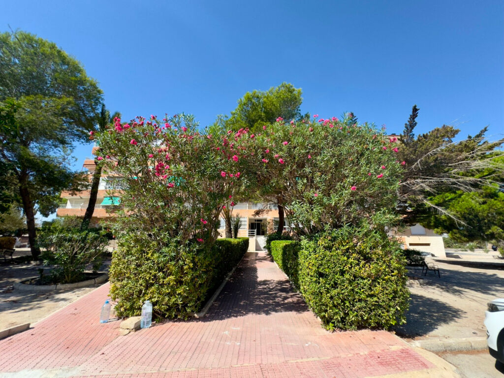 Ground Floor Apartment Guardamar del Segura Alicante - image 12