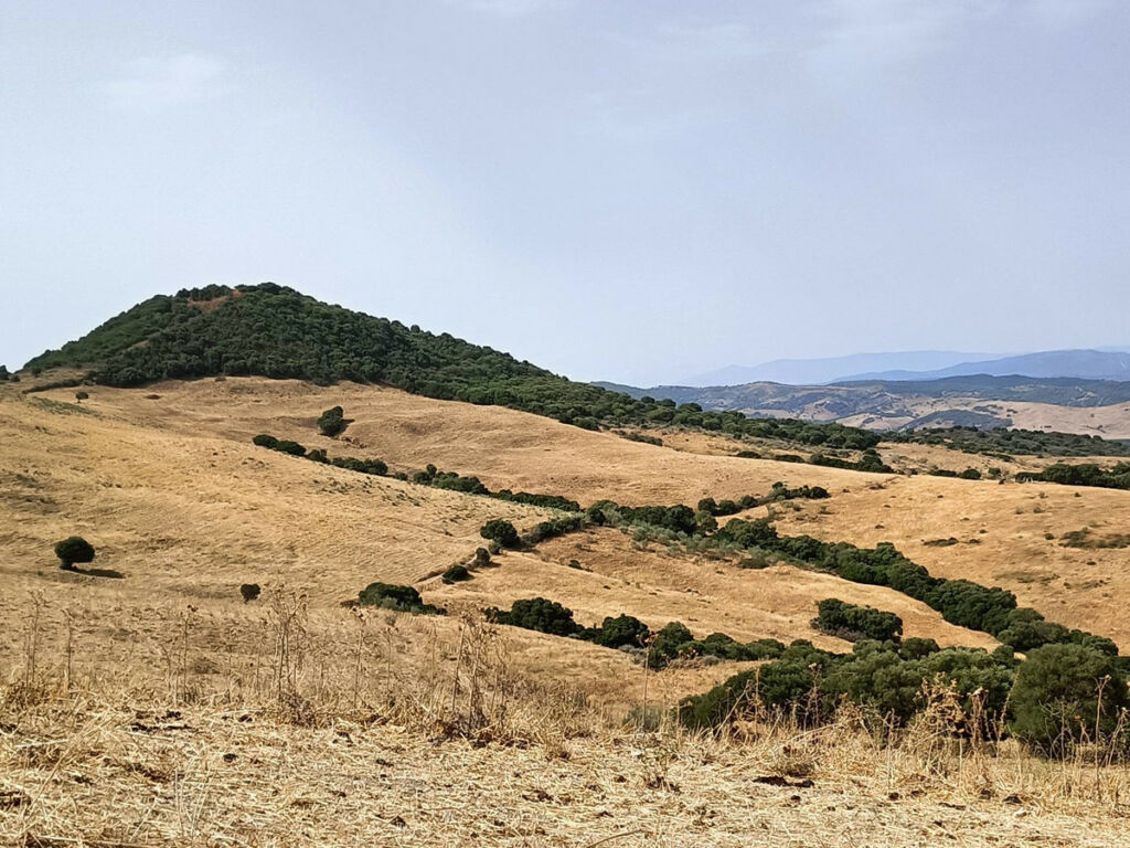 Farm Gaucín Málaga - image 12