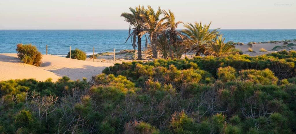 Bungalow Guardamar del Segura Alicante - image 17