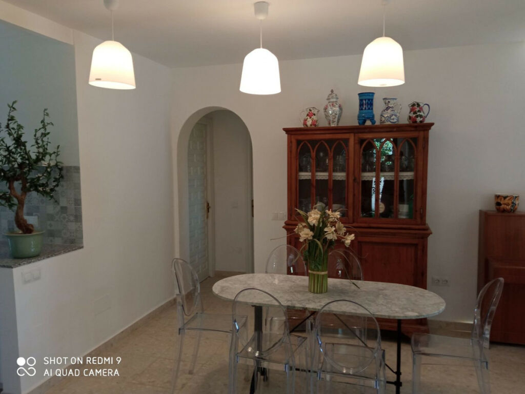 Detached Villa Río Real Málaga - image 12