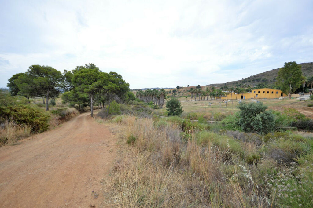 Finca - Cortijo Mijas Málaga - image 12