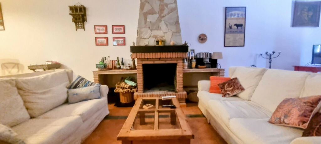 Detached Villa Cortes de la Frontera Málaga - image 13