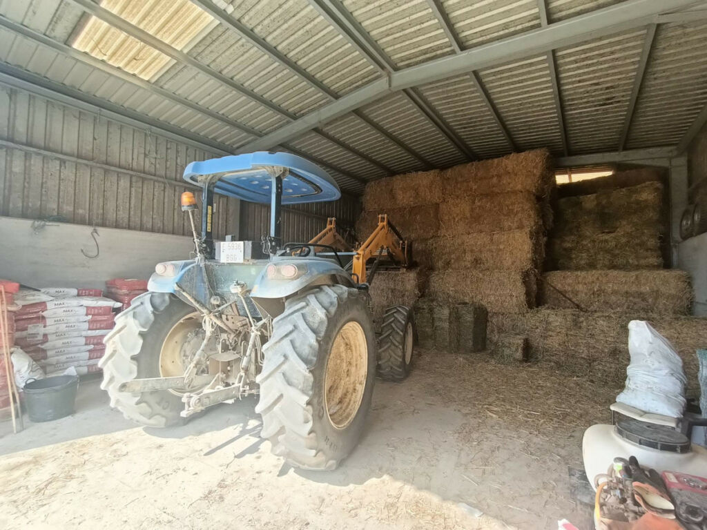 Farm Gaucín Málaga - image 4