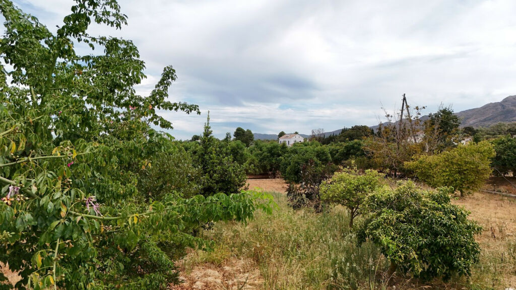 Detached Villa Alhaurín el Grande Málaga - image 13