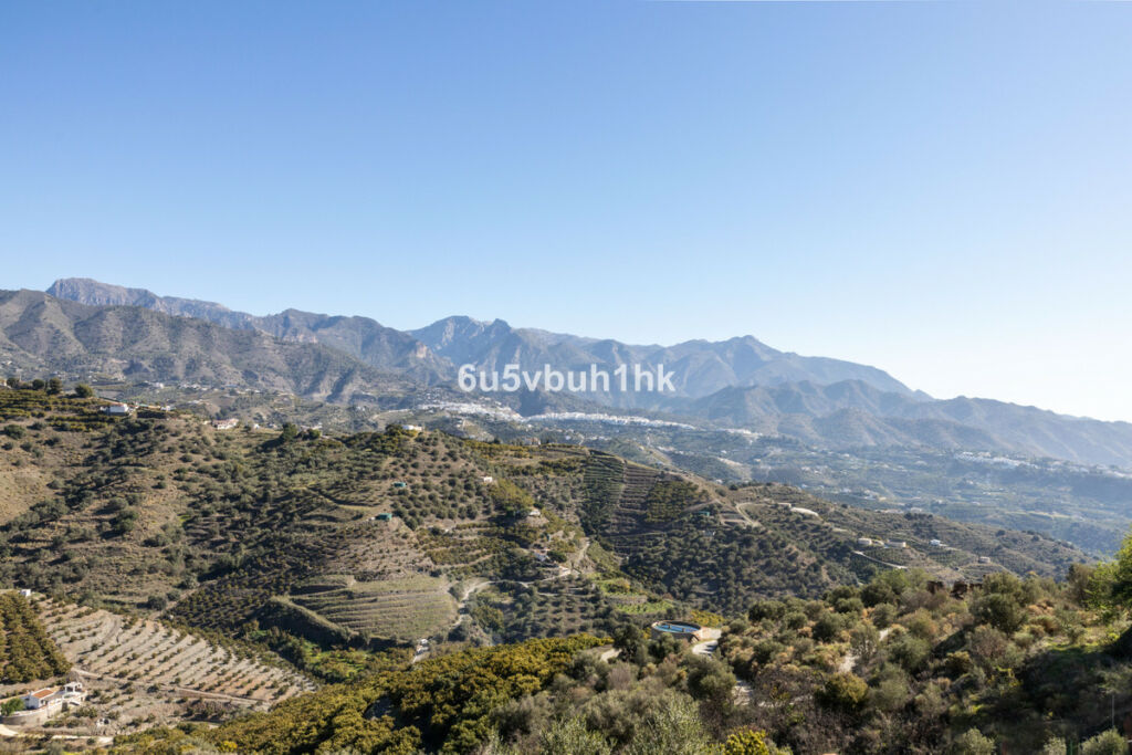 Detached Villa Torrox Málaga - image 13