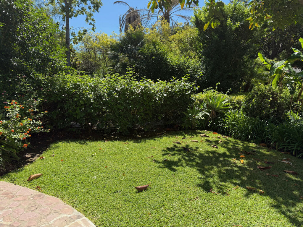 Ground Floor Apartment Estepona Málaga - image 13