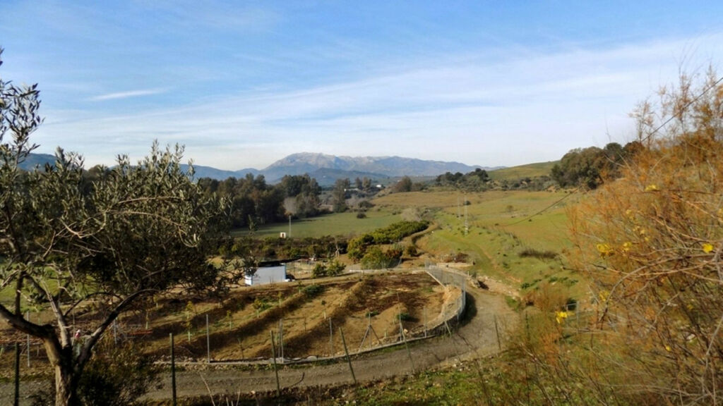 Farm Coín Málaga - image 13