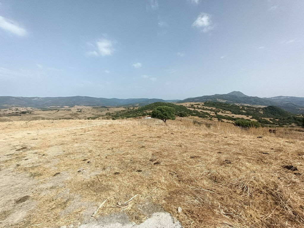 Farm Gaucín Málaga - image 13