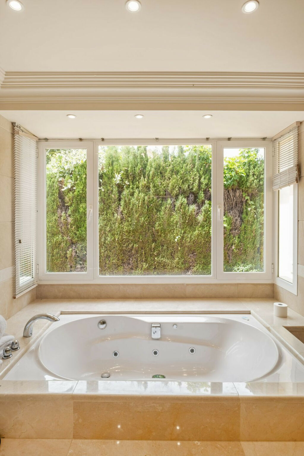 Detached Villa Elviria Málaga - image 14