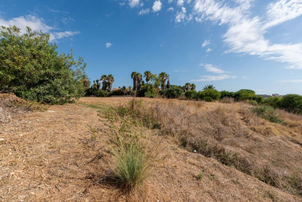 Detached Villa Estepona Málaga - image 14