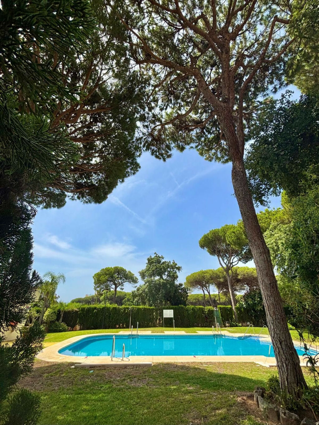 Ground Floor Apartment Calahonda Málaga - image 14