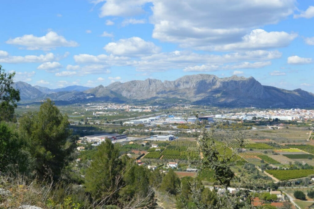 Land Pedreguer Alicante - image 14