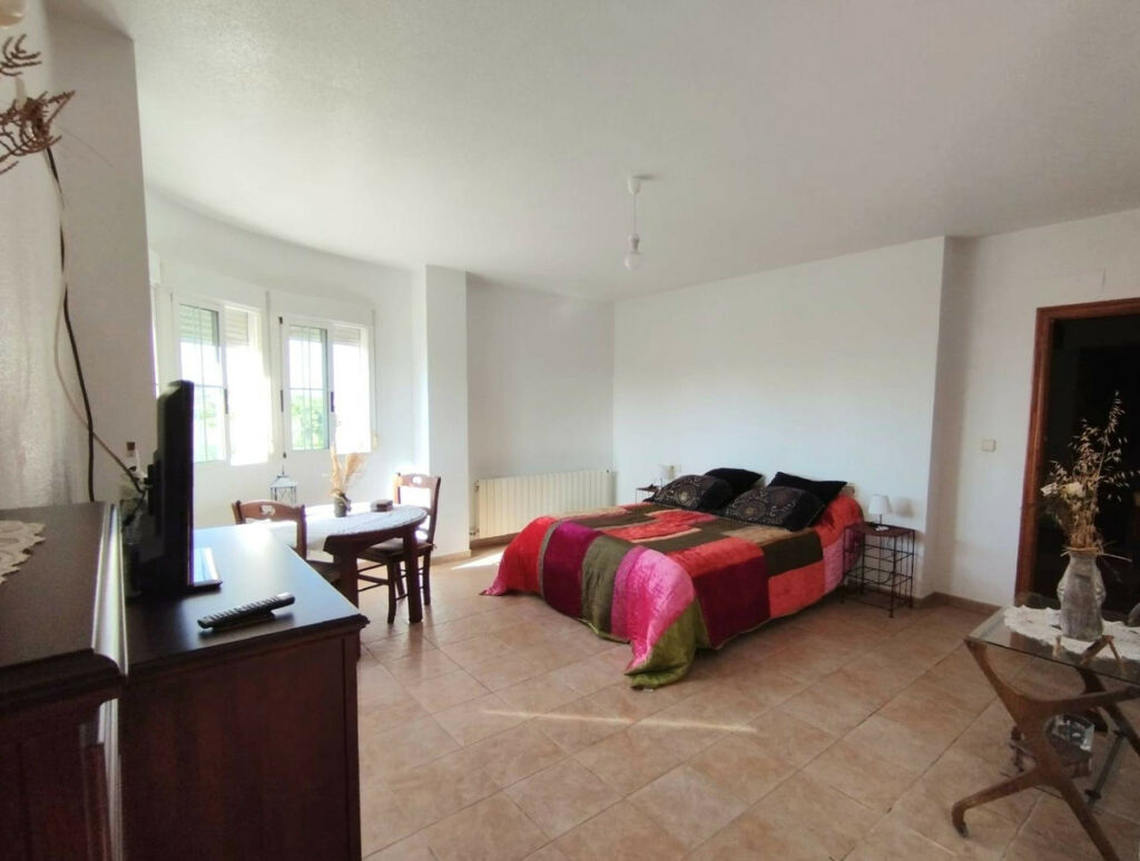 Detached Villa La Siesta Alicante - image 14