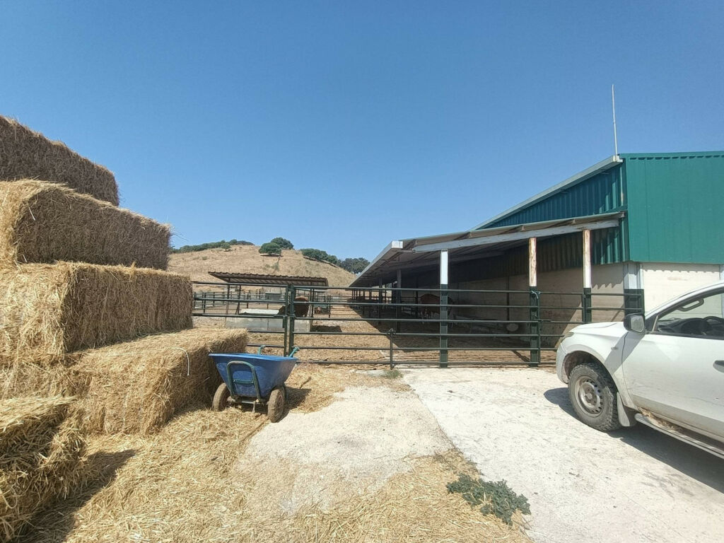 Farm Gaucín Málaga - image 2