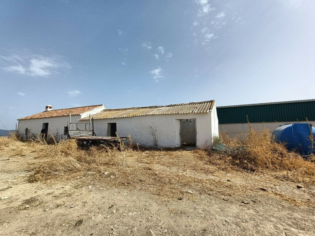 Farm Gaucín Málaga - image 14