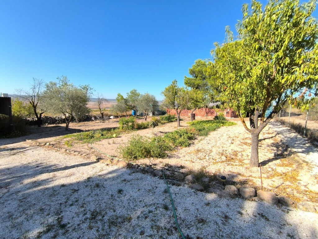 Detached Villa Yecla Murcia - image 14