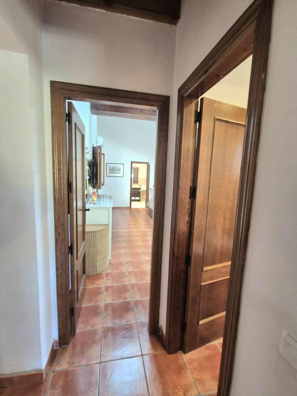 Detached Villa Coín Málaga - image 13