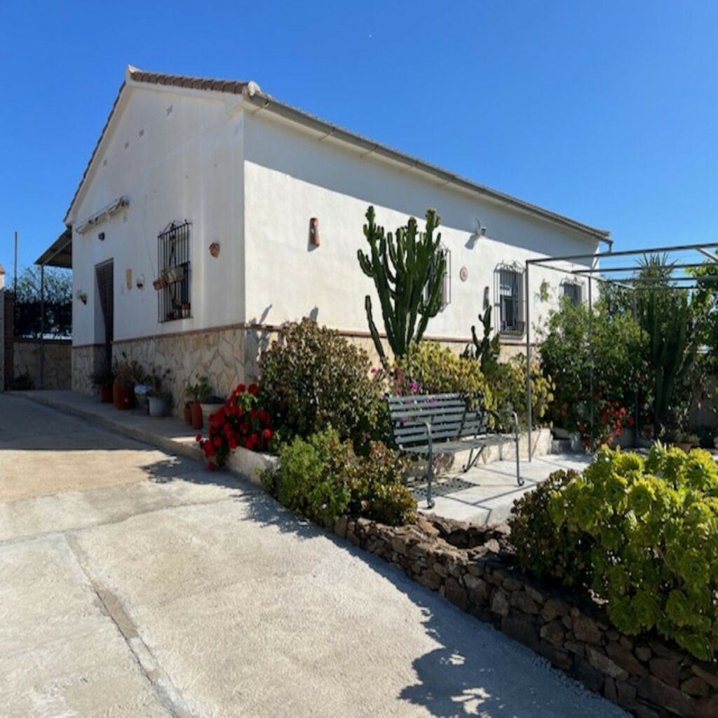 Finca - Cortijo Viñuela Málaga - image 14