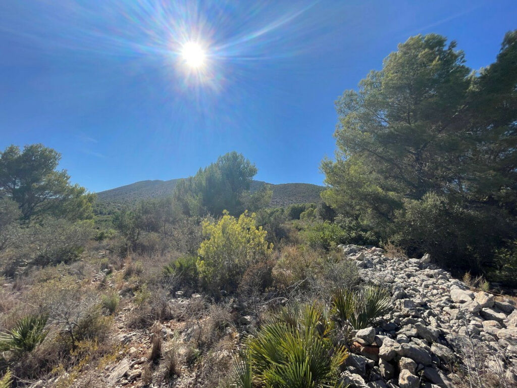 Residential Plot Benissa Alicante - image 14