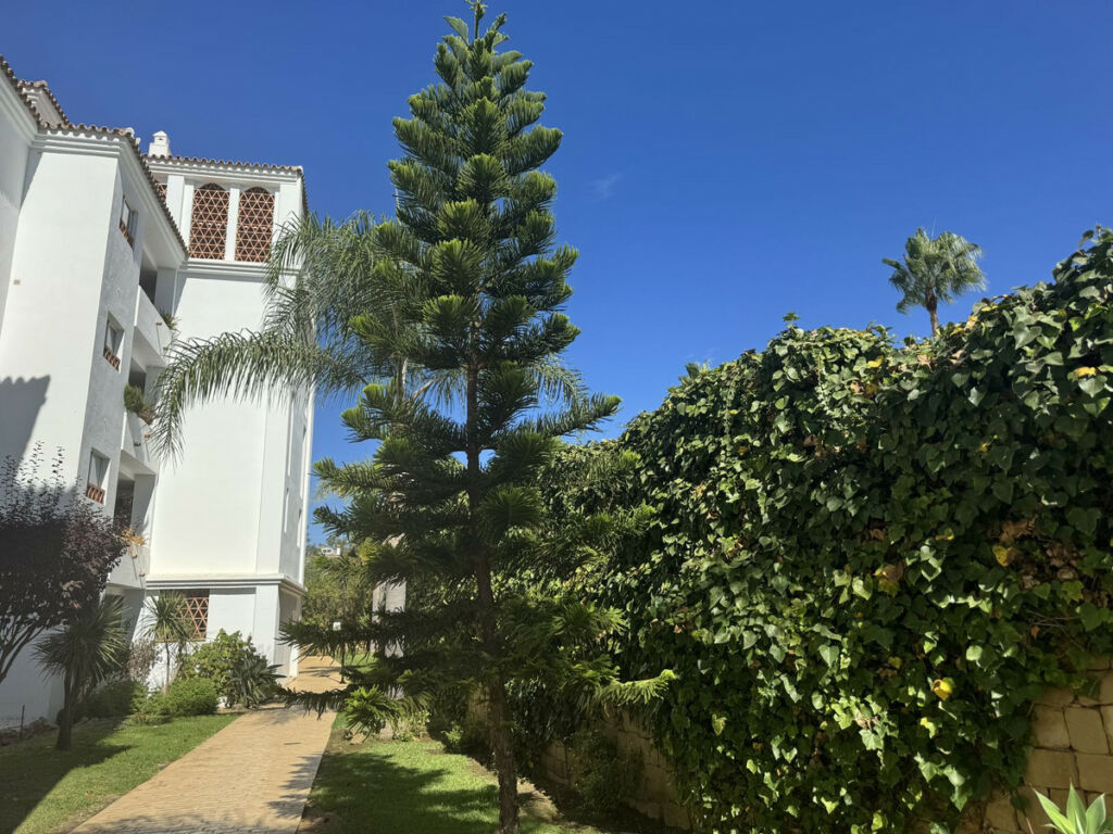Middle Floor Apartment Calahonda Málaga - image 15