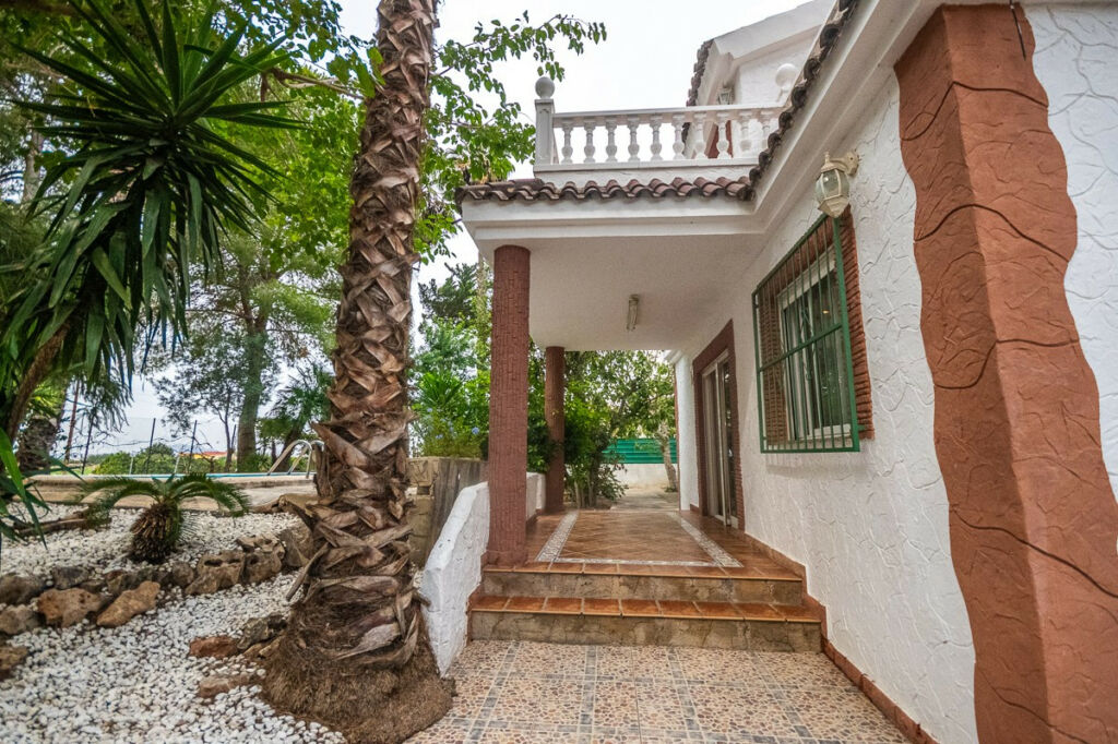 Finca - Cortijo Orihuela Alicante - image 15