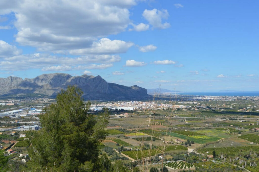 Land Pedreguer Alicante - image 15