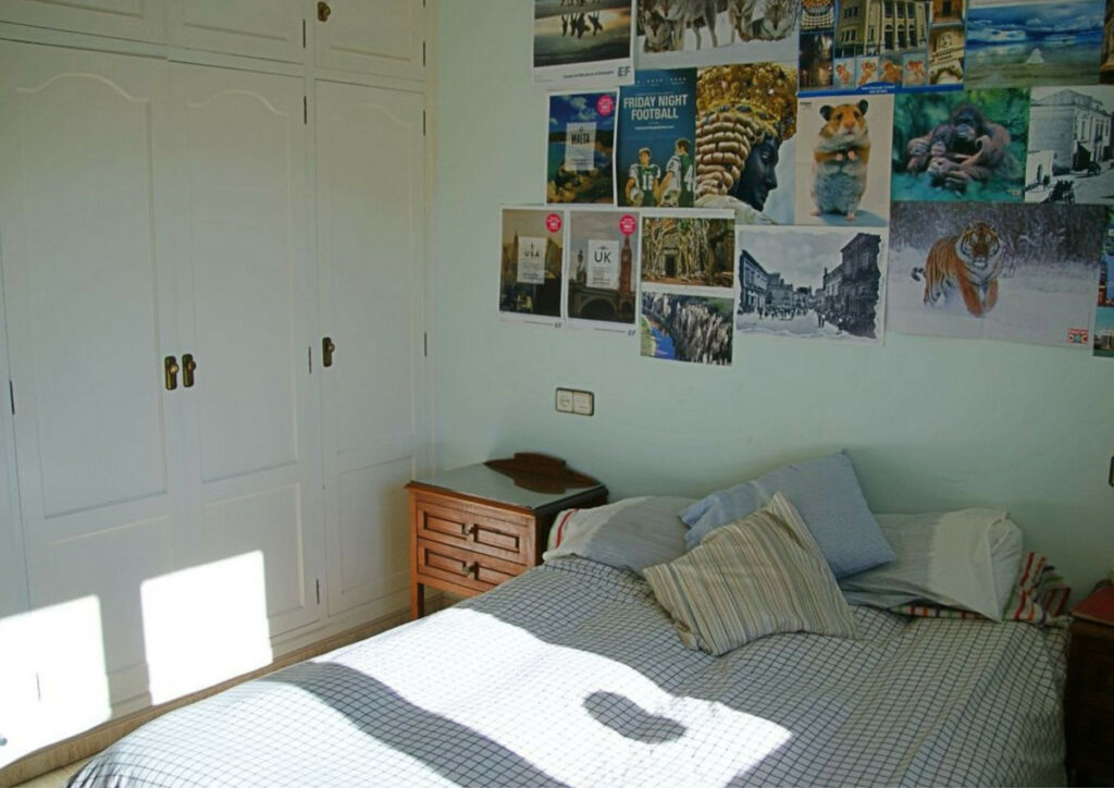 Detached Villa Lorca Murcia - image 14