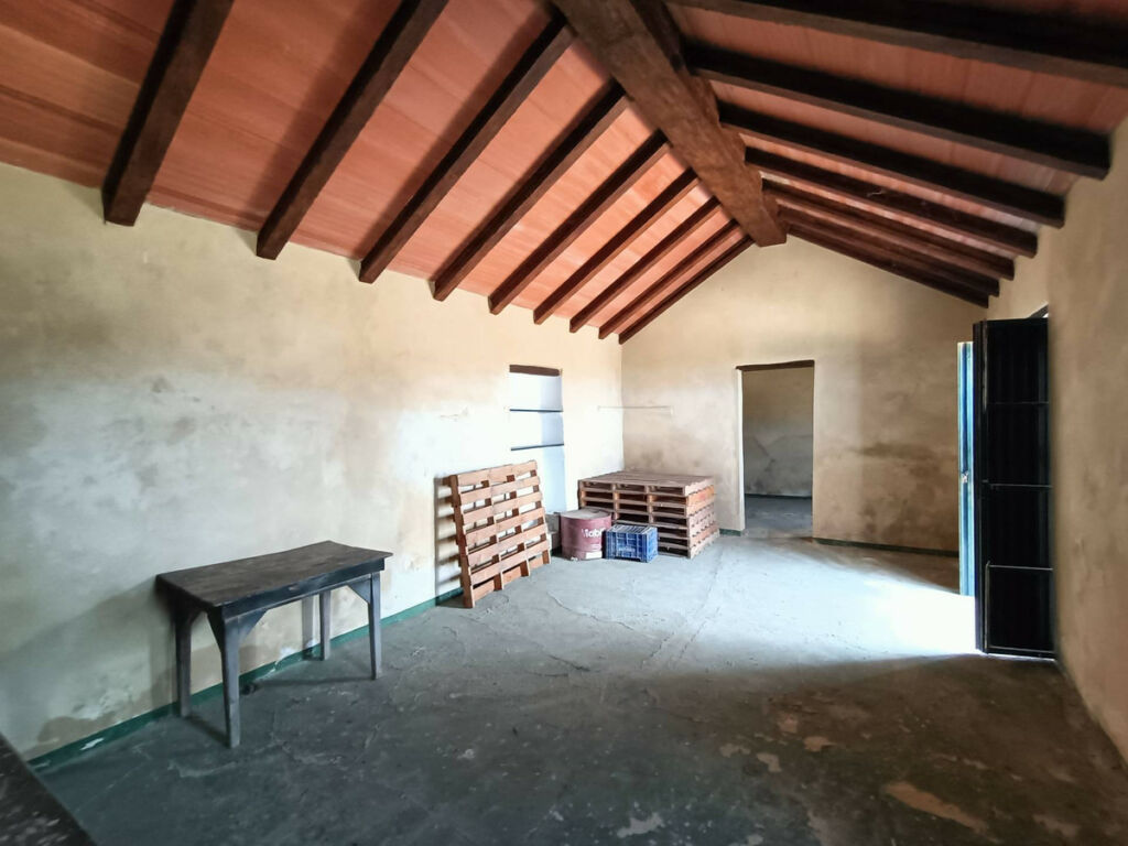 Farm Gaucín Málaga - image 15