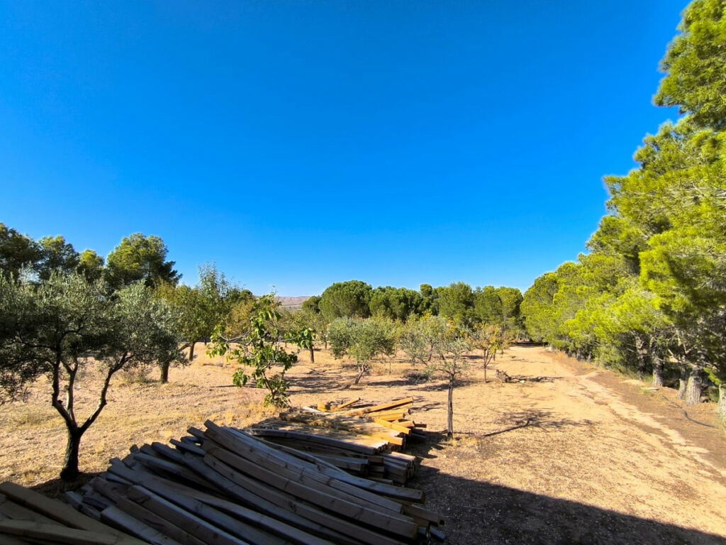 Detached Villa Yecla Murcia - image 15