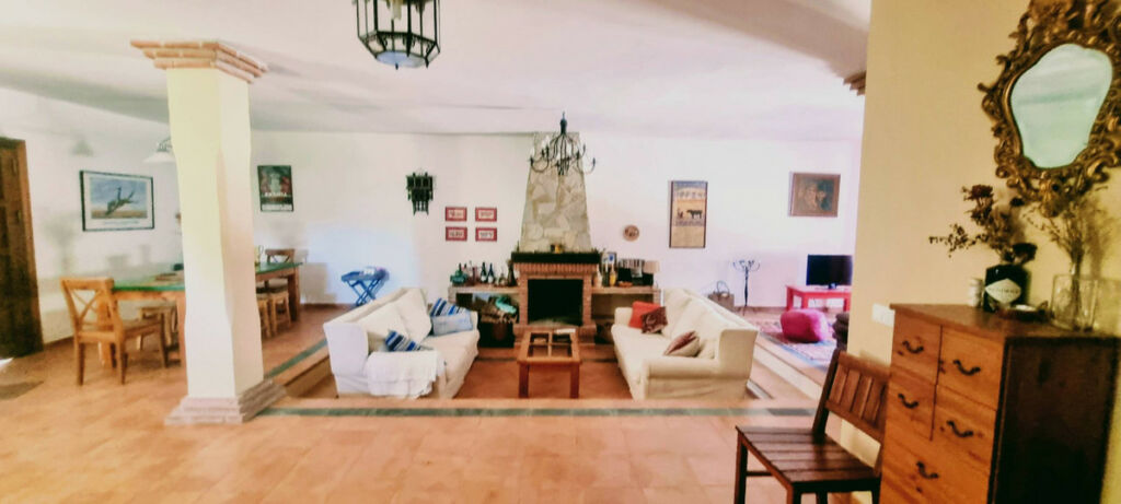 Detached Villa Cortes de la Frontera Málaga - image 16