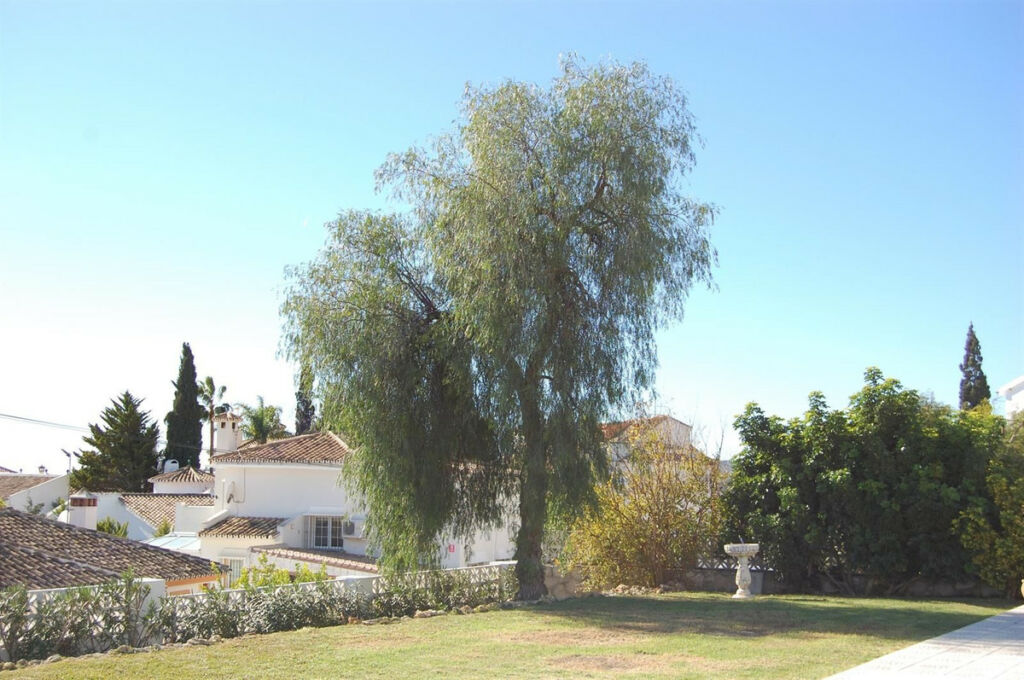 Detached Villa Mijas Costa Málaga - image 16