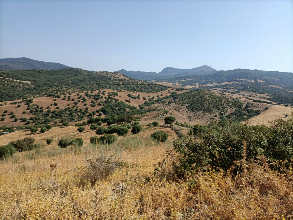 Farm Gaucín Málaga - image 12