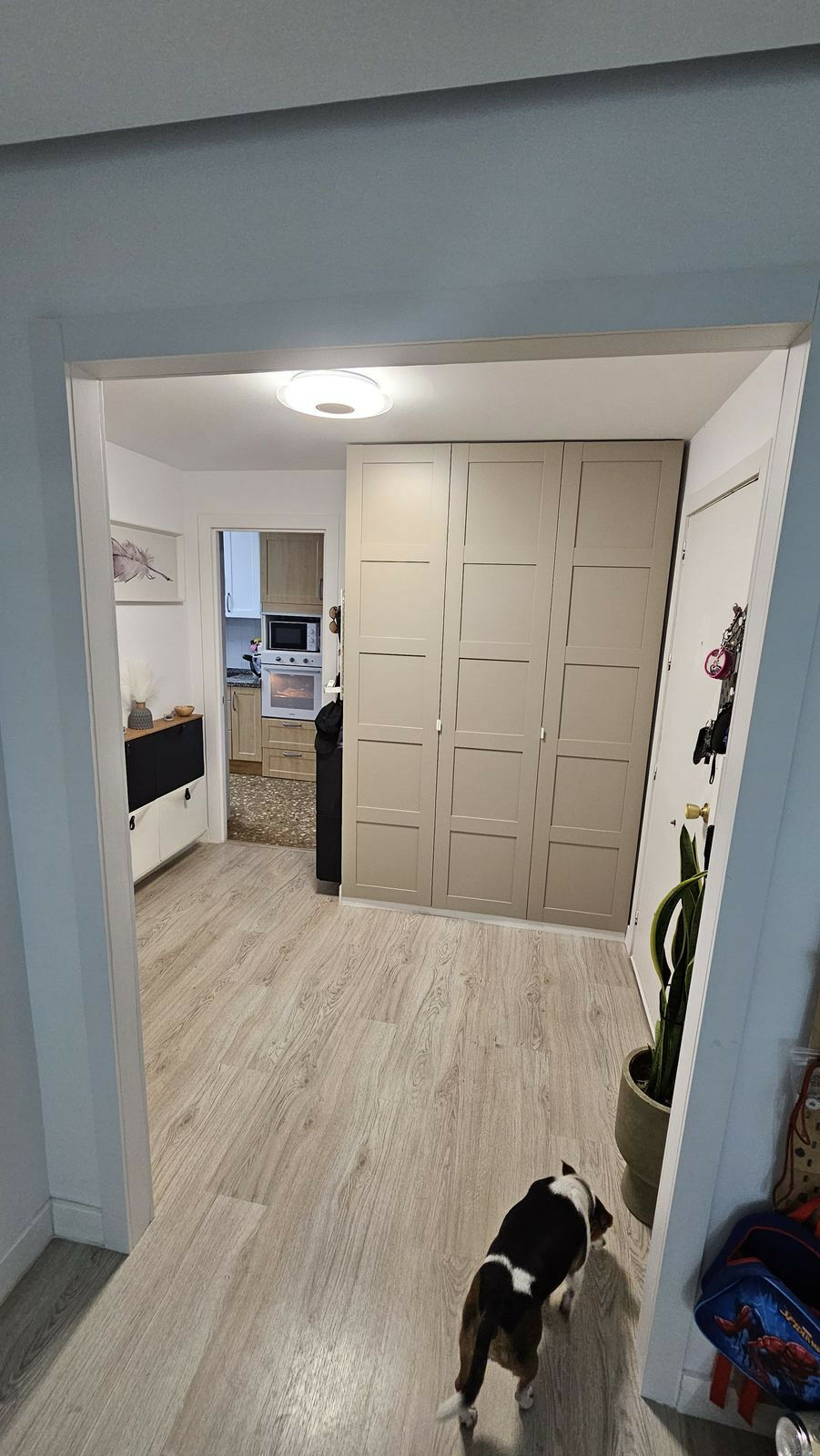 Ground Floor Apartment Estepona Málaga - image 16