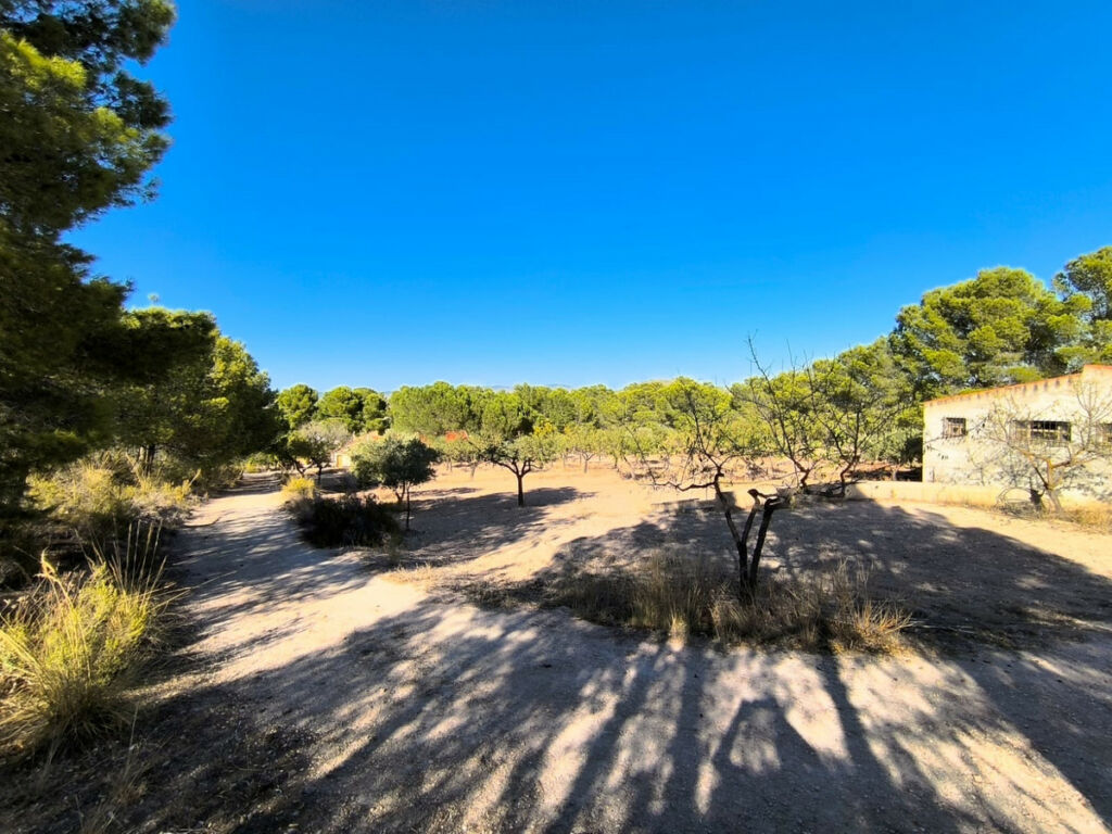 Detached Villa Yecla Murcia - image 16