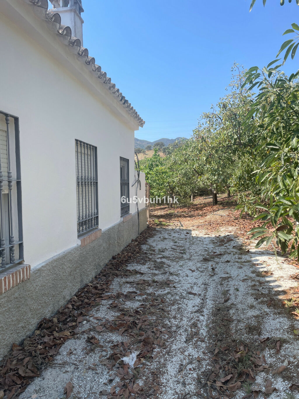 Finca - Cortijo Coín Málaga - image 17