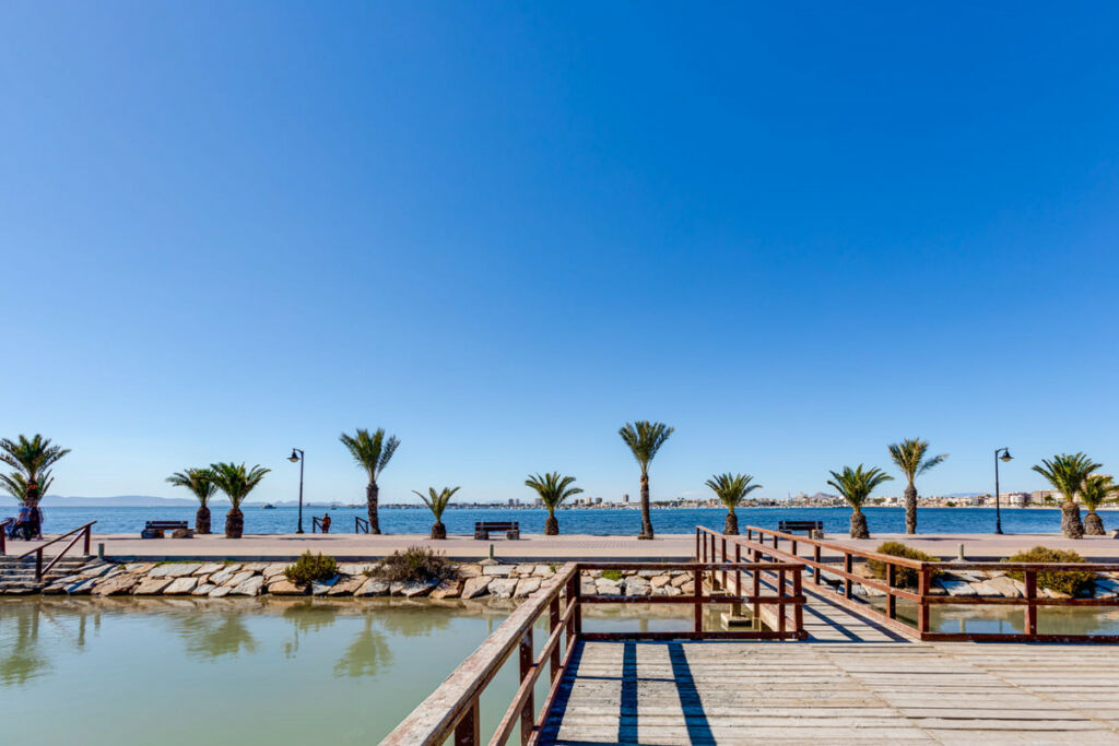 Detached Villa Pilar de la Horadada Alicante - image 17