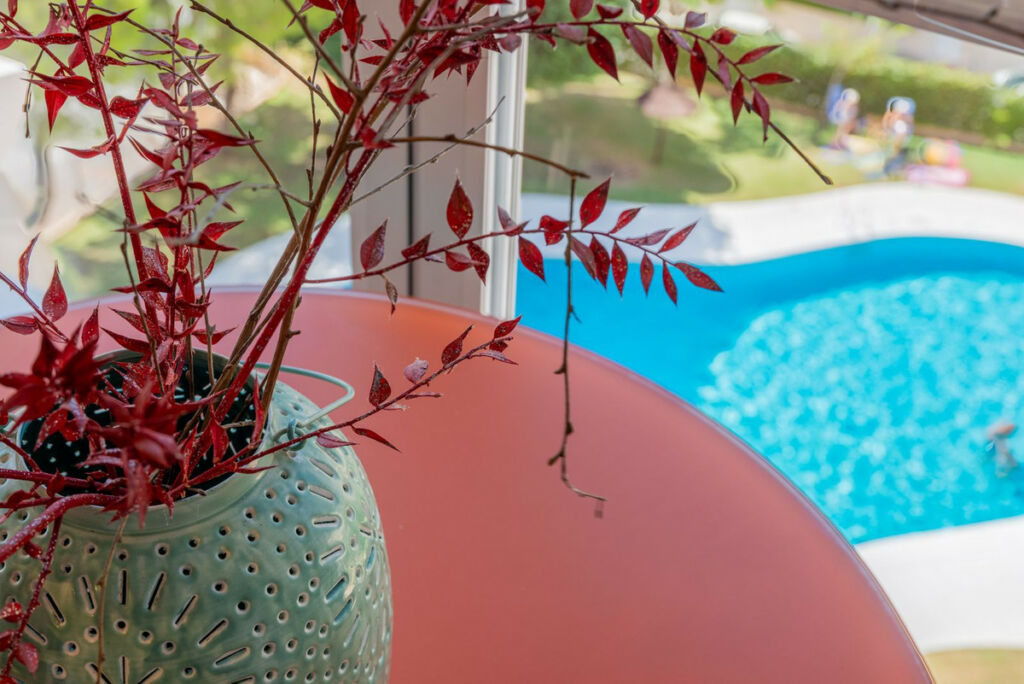 Middle Floor Apartment El Campello Alicante - image 17
