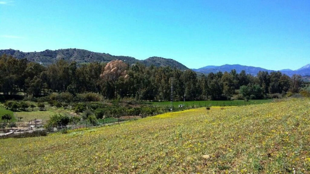 Farm Coín Málaga - image 17