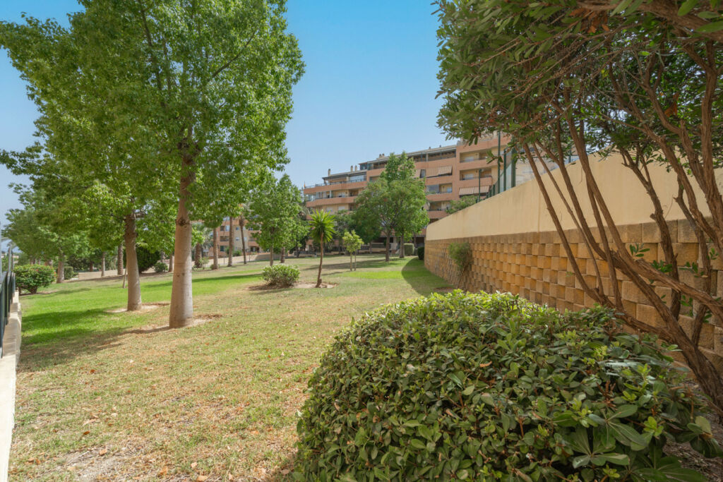 Penthouse El Pinillo Málaga - image 16