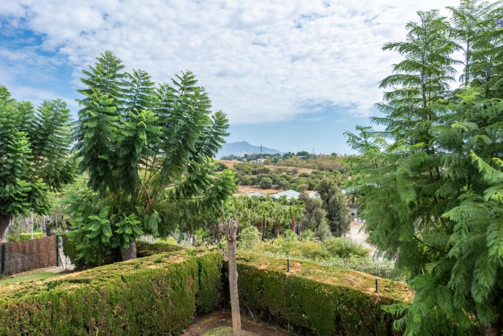 Middle Floor Apartment Bel Air Málaga - image 17