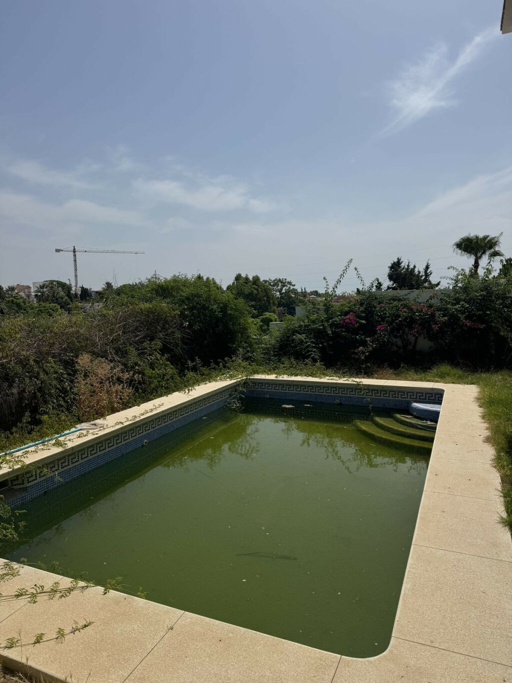 Detached Villa Nueva Andalucía Málaga - image 18