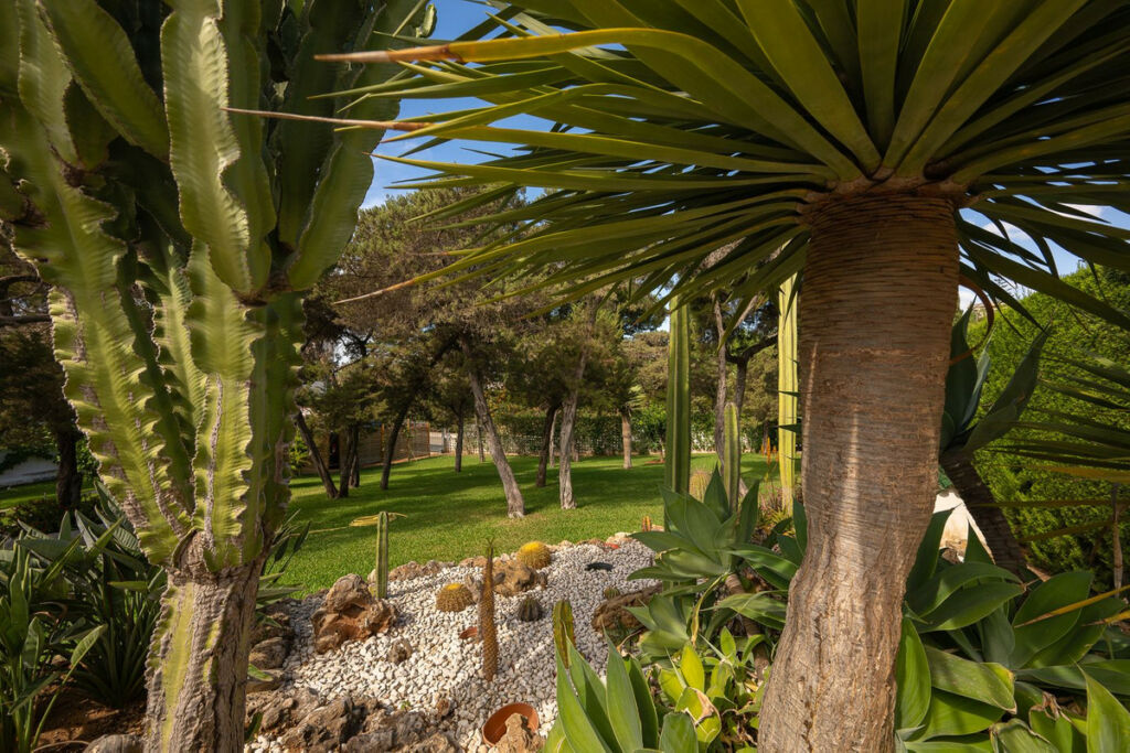 Detached Villa Marbesa Málaga - image 18
