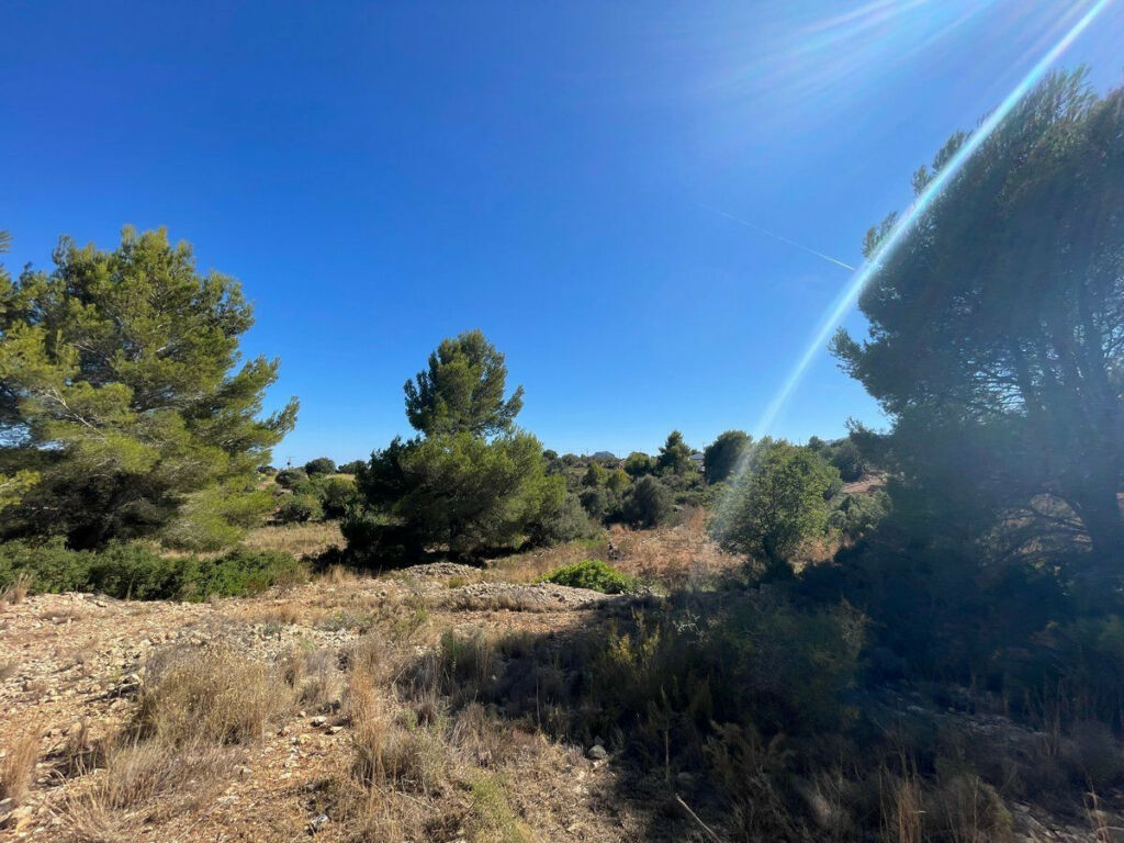 Residential Plot Benissa Alicante - image 18