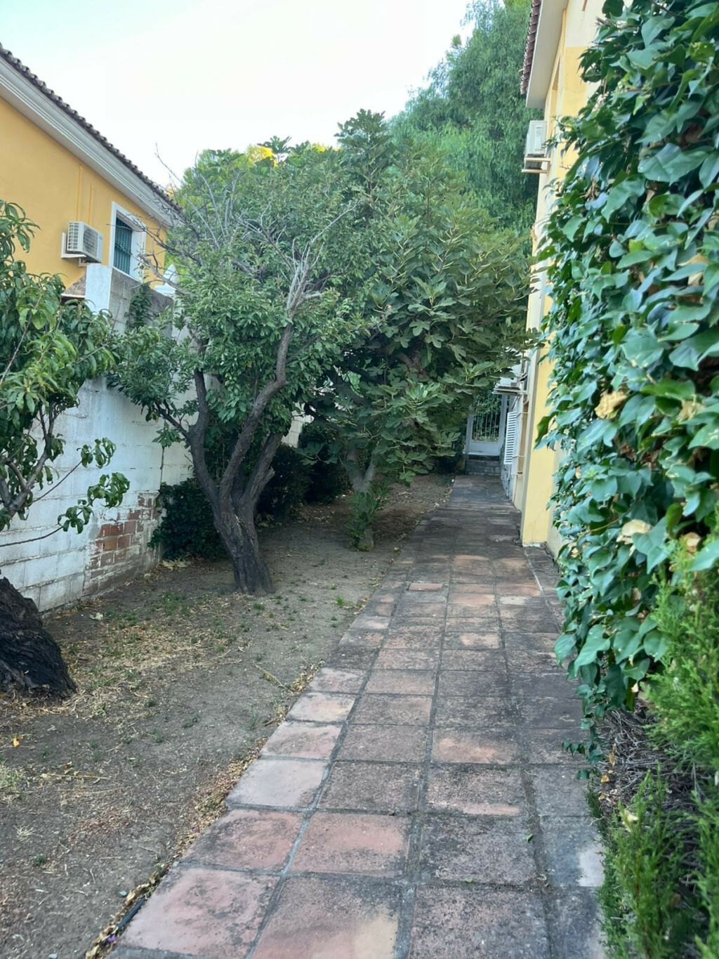 Duplex Nueva Andalucía Málaga - image 18