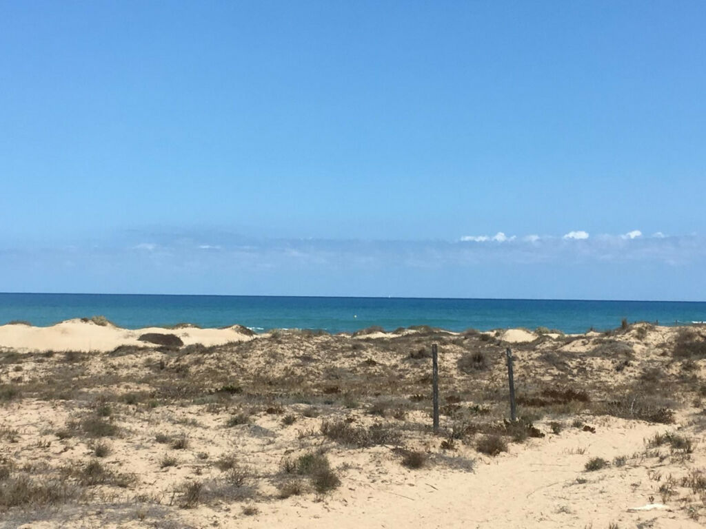 Bungalow Guardamar del Segura Alicante - image 21
