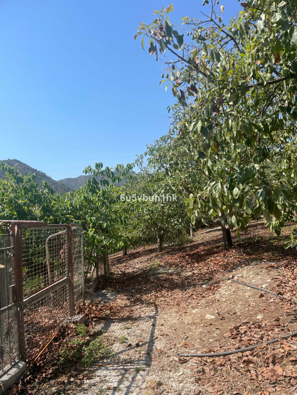 Finca - Cortijo Coín Málaga - image 18