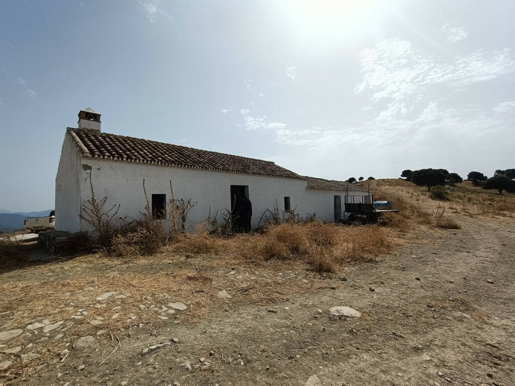 Farm Gaucín Málaga - image 18