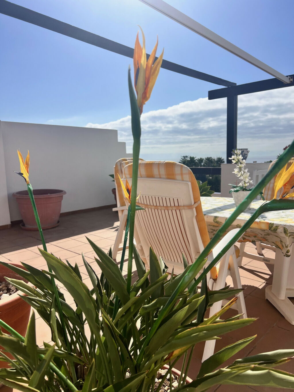 Penthouse Estepona Málaga - image 18